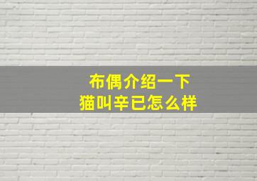 布偶介绍一下猫叫辛已怎么样