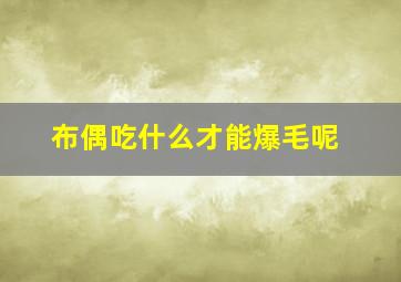 布偶吃什么才能爆毛呢