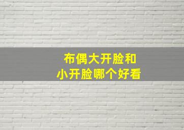 布偶大开脸和小开脸哪个好看