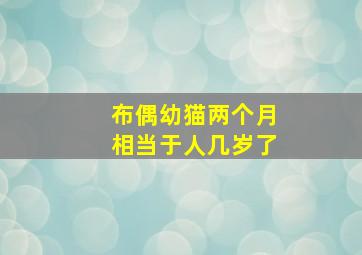 布偶幼猫两个月相当于人几岁了