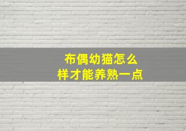 布偶幼猫怎么样才能养熟一点