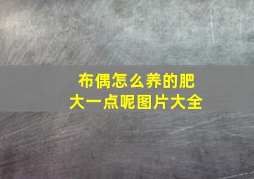 布偶怎么养的肥大一点呢图片大全