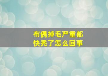 布偶掉毛严重都快秃了怎么回事