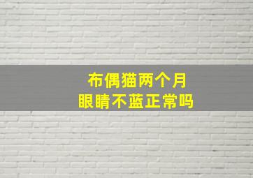 布偶猫两个月眼睛不蓝正常吗