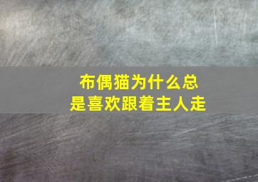 布偶猫为什么总是喜欢跟着主人走