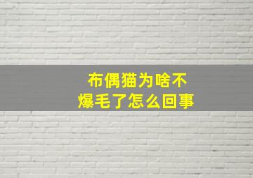 布偶猫为啥不爆毛了怎么回事