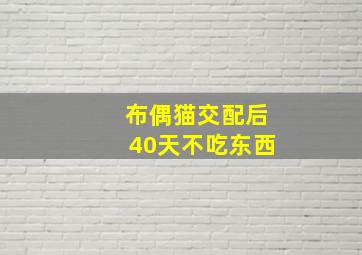 布偶猫交配后40天不吃东西