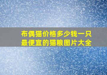 布偶猫价格多少钱一只最便宜的猫粮图片大全