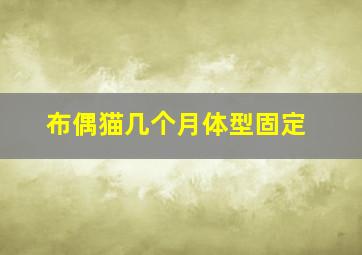 布偶猫几个月体型固定