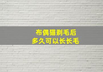 布偶猫剃毛后多久可以长长毛