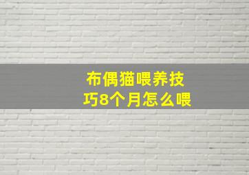 布偶猫喂养技巧8个月怎么喂