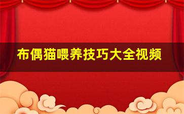 布偶猫喂养技巧大全视频