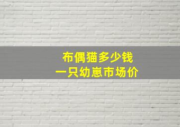 布偶猫多少钱一只幼崽市场价