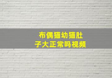 布偶猫幼猫肚子大正常吗视频