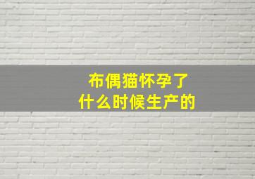 布偶猫怀孕了什么时候生产的