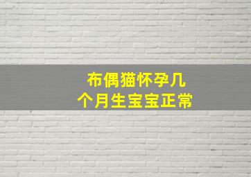 布偶猫怀孕几个月生宝宝正常