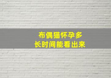 布偶猫怀孕多长时间能看出来