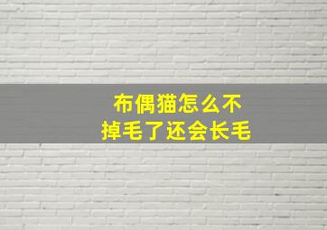 布偶猫怎么不掉毛了还会长毛