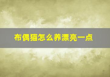 布偶猫怎么养漂亮一点