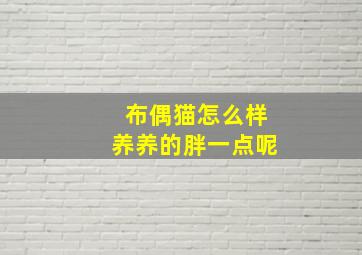 布偶猫怎么样养养的胖一点呢