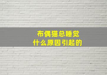 布偶猫总睡觉什么原因引起的