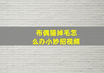 布偶猫掉毛怎么办小妙招视频