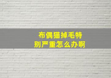 布偶猫掉毛特别严重怎么办啊