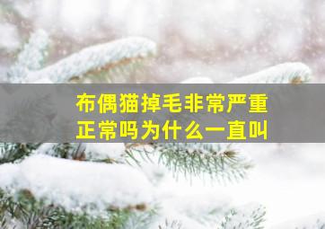 布偶猫掉毛非常严重正常吗为什么一直叫