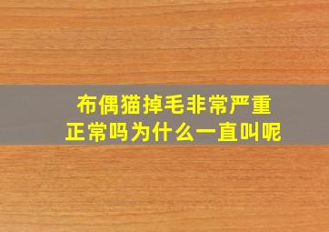 布偶猫掉毛非常严重正常吗为什么一直叫呢