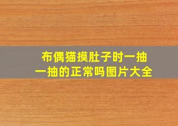 布偶猫摸肚子时一抽一抽的正常吗图片大全