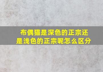 布偶猫是深色的正宗还是浅色的正宗呢怎么区分