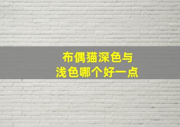 布偶猫深色与浅色哪个好一点