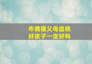 布偶猫父母血统好孩子一定好吗