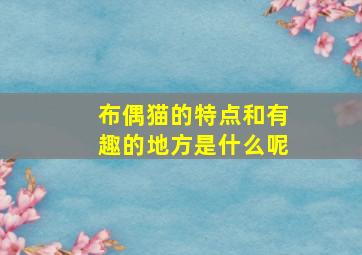 布偶猫的特点和有趣的地方是什么呢