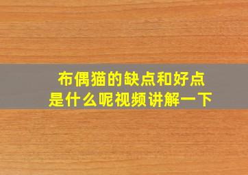 布偶猫的缺点和好点是什么呢视频讲解一下