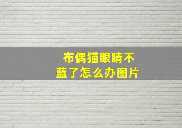 布偶猫眼睛不蓝了怎么办图片