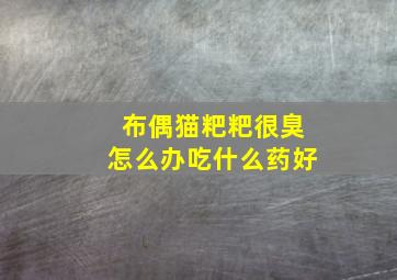 布偶猫粑粑很臭怎么办吃什么药好