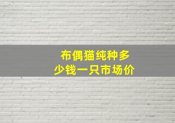 布偶猫纯种多少钱一只市场价