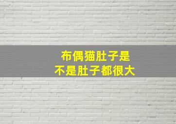 布偶猫肚子是不是肚子都很大