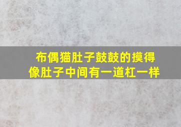 布偶猫肚子鼓鼓的摸得像肚子中间有一道杠一样