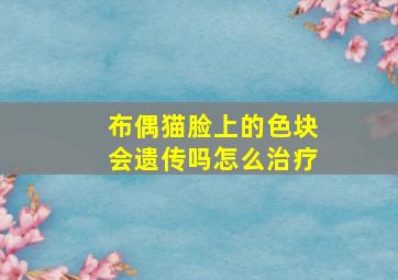 布偶猫脸上的色块会遗传吗怎么治疗