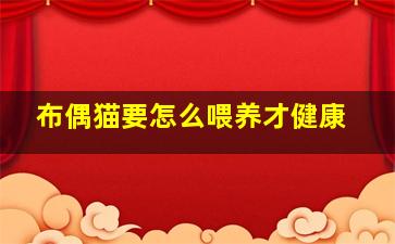 布偶猫要怎么喂养才健康