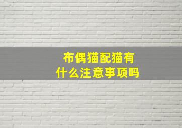 布偶猫配猫有什么注意事项吗