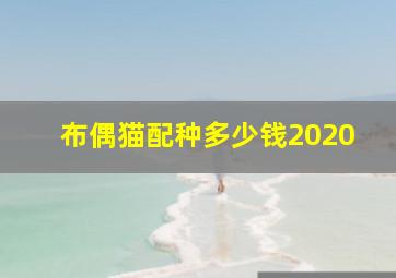 布偶猫配种多少钱2020