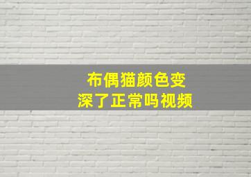 布偶猫颜色变深了正常吗视频