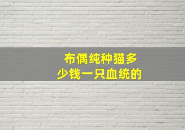 布偶纯种猫多少钱一只血统的