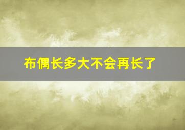 布偶长多大不会再长了