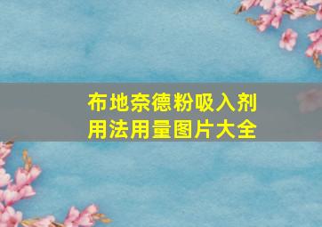 布地奈德粉吸入剂用法用量图片大全