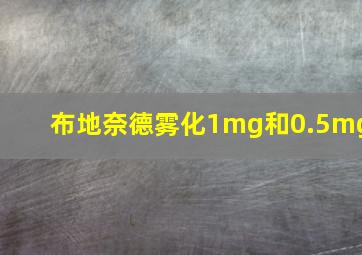 布地奈德雾化1mg和0.5mg