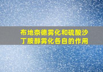 布地奈德雾化和硫酸沙丁胺醇雾化各自的作用